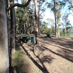 Hunter Lookout Picnic Area