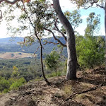 View from bushtrack