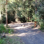 rocky creek camping area