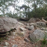 Some rock sections