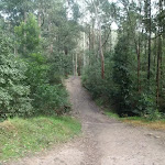 winding through the Lane Cove Valley