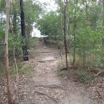 path up to thornliegh oval
