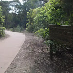 Concrete trail near Zig Zag creek