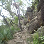 Climbing up from Berowra Waters