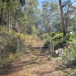 path up Mt Warramalong