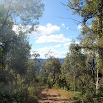 view from path up Mt Warramalong