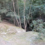 Rock with creek beyond, near Watagan Forest Rd