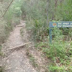 Eastern end of Fairlylands track