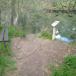 Fairylands and Lane Cove River