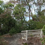 Seat near Taylors Bay Lookout