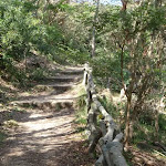 Track east of Taronga Zoo