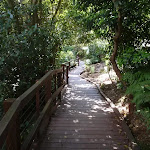 Track between Little Sirius Cove and Taronga Zoo
