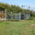 Grassed track around fence