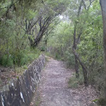 Walled Shortcut Track