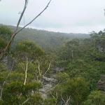 View from Lyrebird Lookout