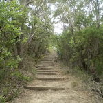 Stairs into Valley of the Waters from Conservation Hut