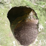Window to cave
