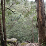 View into the Gorge from Plateau Pde Trk