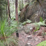 Track past rocky outcrop
