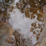 Reflection in rock pool