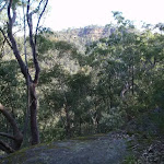 Track up from Glenbrook Creek to Martin's Lookout