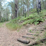 Intersection with steps on concreted trail