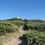 path up to the cape bailey lighthouse