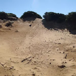 small sand dunes that litter the cape bailey walk