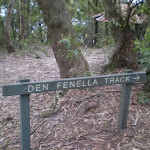 This track is well signposted