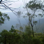 The Jamison Valley just before going down to Denfenella Crk
