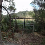 the birdwatchers observatory frame
