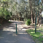 Following the service trail out of Davies Reserve.