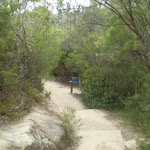 The trail near Princes Rock