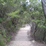 A typical example of trail