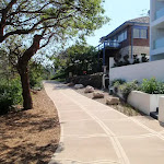 Manly Scenic Walkway behind houses