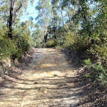 Track below Canoon Rd tennis courts