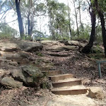 Track to Pennant Hills Park