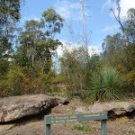 Track to Pennant Hills