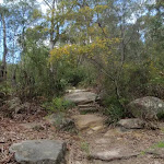 Rocky steps to Pennant Hills