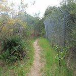 Track along fence near M2