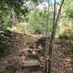 Steps near Pembroke St