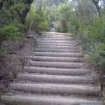 Stairs up to Wentworth Falls Lookout