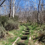 Threbo River track leading up the steps