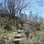 Steps leading up the DHG track