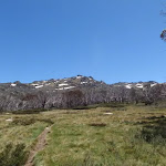 Open flat area on the Dead Horse Gap track at about 1700m AMSL