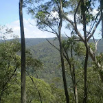 Jenolan Karst Reserve