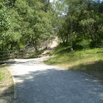 The track between Carlotta's Arch and the Carpark Intersection