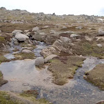 The headwaters of the Snowy River
