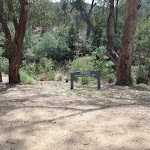 Walking track from Jacobs River Camping Area