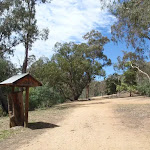 The road in Jacobs River Camping Area